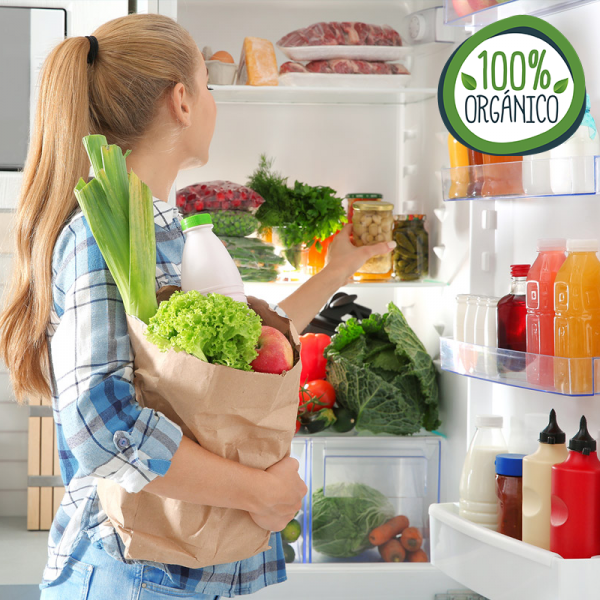 2 Botellas Gas Refrigerante R600a + Manguera + Valvula 420Gr Isobutano Freeze