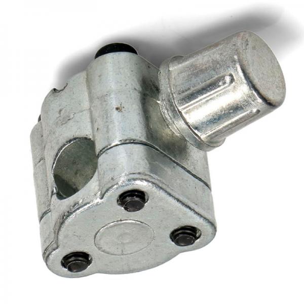 Valvula Perforadora Carga Gas Bpv31 Skl Standard