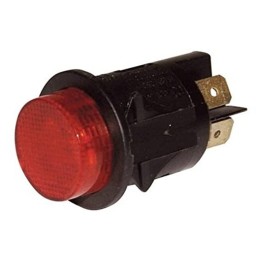 Interruptor Bipolar Caldera Rojo 1C Ariston Nhre60 341170