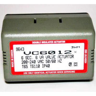 Motor Caldera VC6012 220v WX003333 Standard