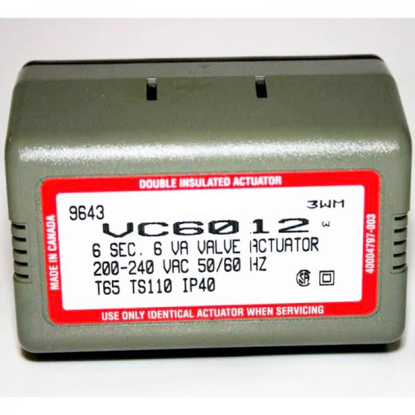 Motor Caldera VC6012 220v WX003333 Standard