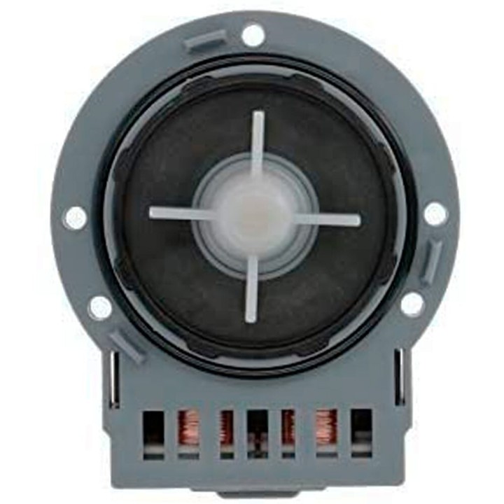 Motobomba Estandard Leili