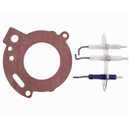 Electrodo Caldera compatible con Junkers Zwb252C23