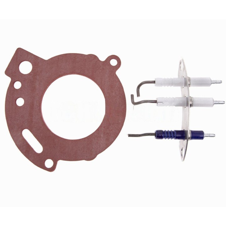 Electrodo Caldera compatible con Junkers Zwb252C23